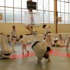 Fin_saison_2012-2013-0372